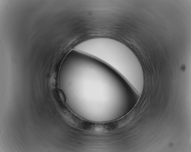 X0000099410264200805090734