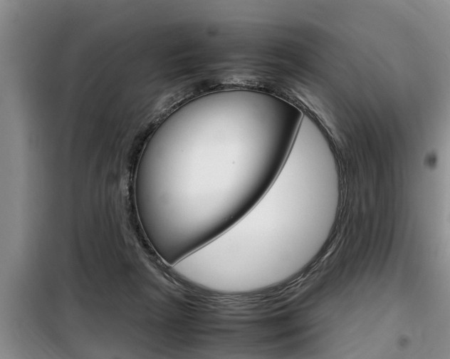 X0000099410265200805090734