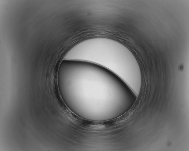 X0000099410266200805090734