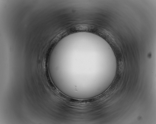 X0000099410267200805090734