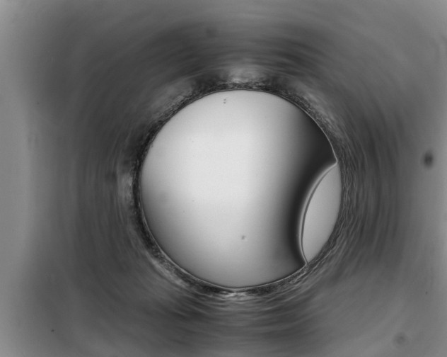 X0000099410269200805090734