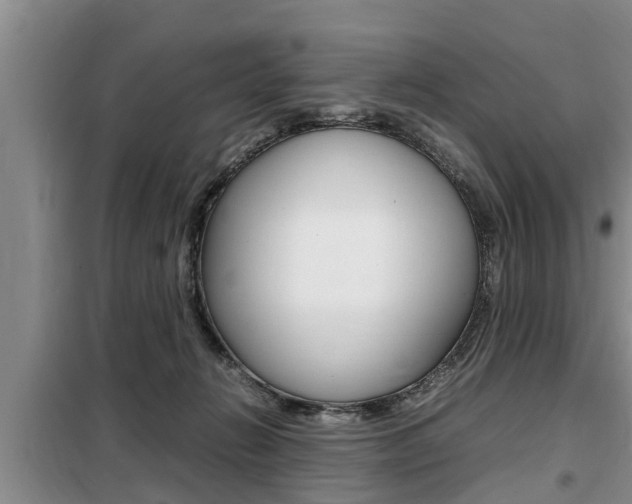 X0000099410270200805090734