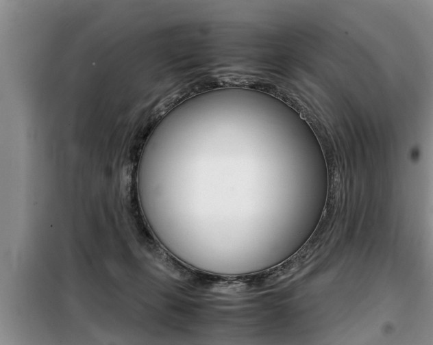 X0000099410271200805090734