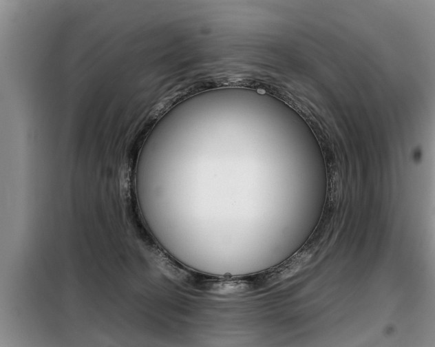 X0000099410274200805090734