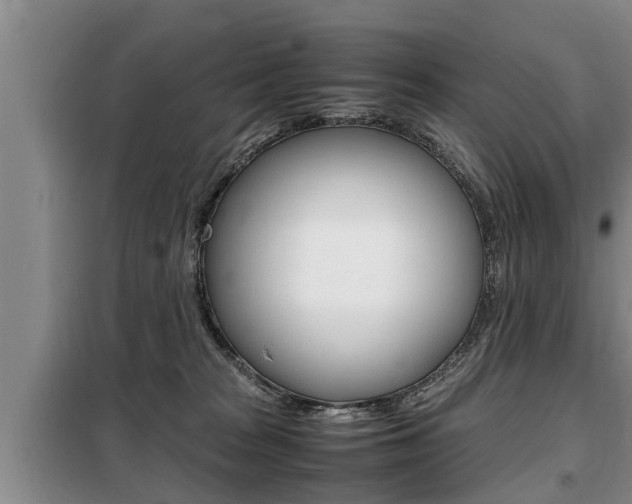X0000099410277200805090734
