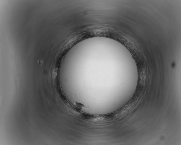 X0000099410278200805090734
