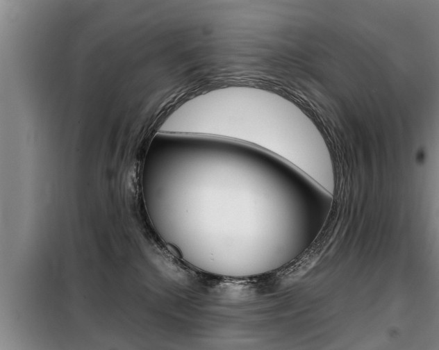 X0000099410280200805090734