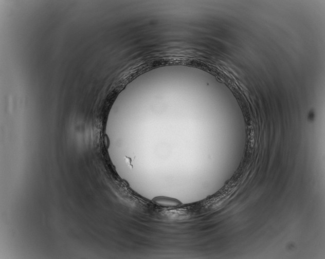 X0000099410283200805090735