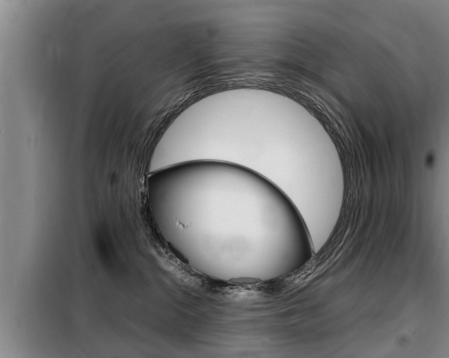 X0000099410284200805090735