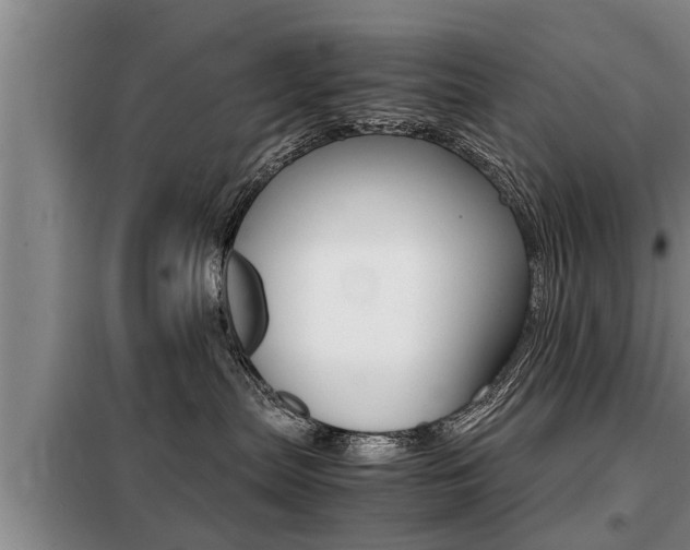 X0000099410287200805090735