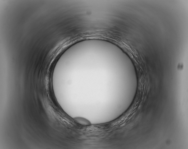 X0000099410290200805090734
