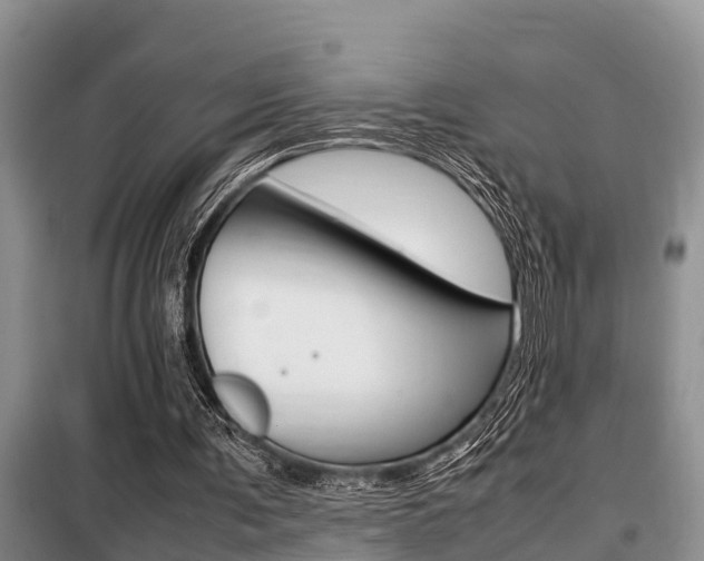 X0000099410291200805090734