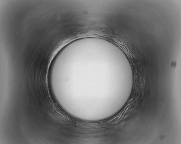 X0000099410292200805090734