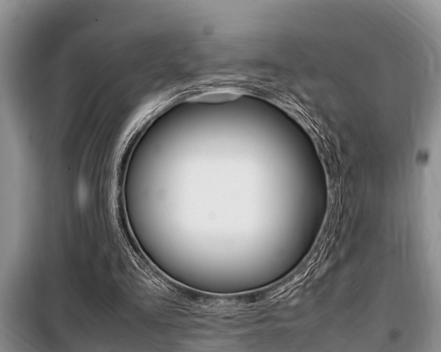 X0000099410293200805090734