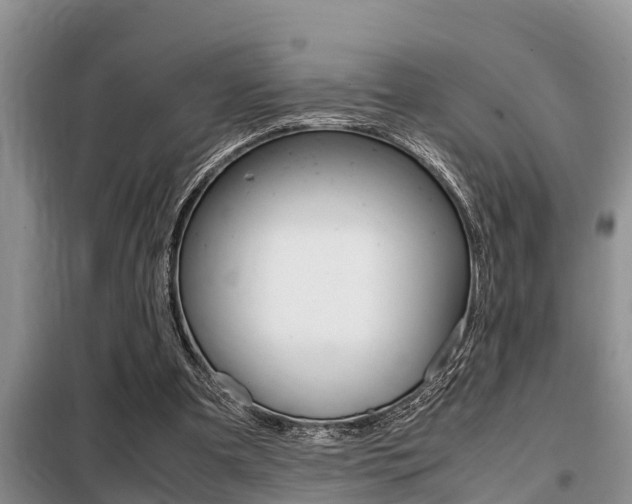 X0000099410297200805090734