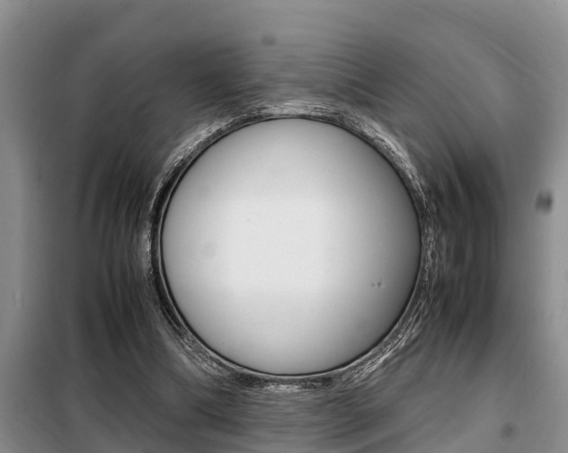 X0000099410298200805090734