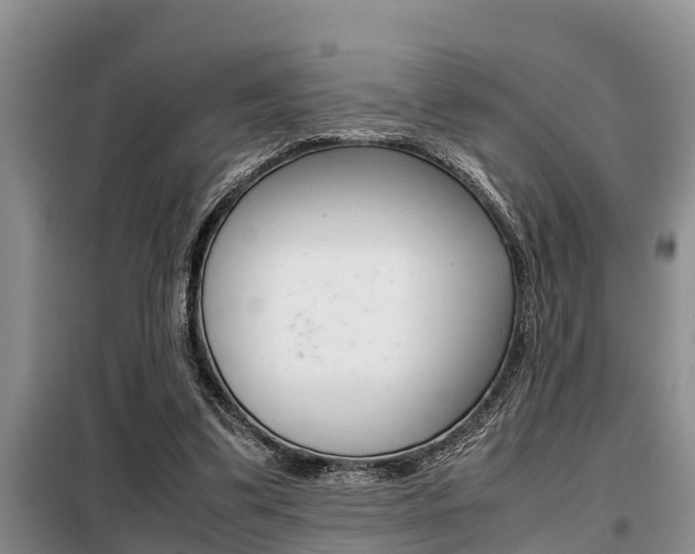 X0000099410299200805090734