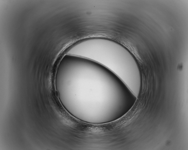 X0000099410300200805090734