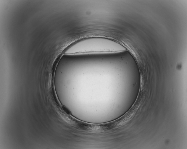X0000099410301200805090734