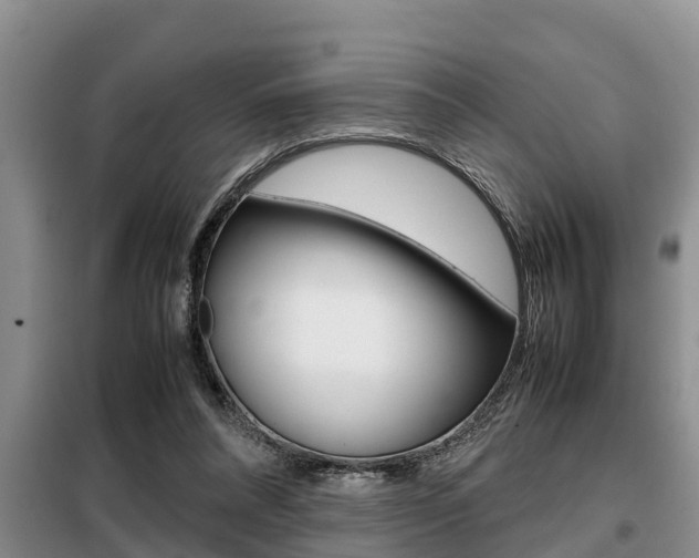 X0000099410304200805090734