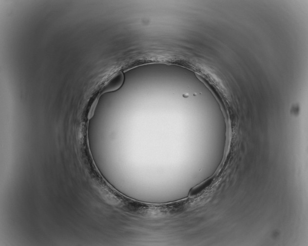 X0000099410305200805090734