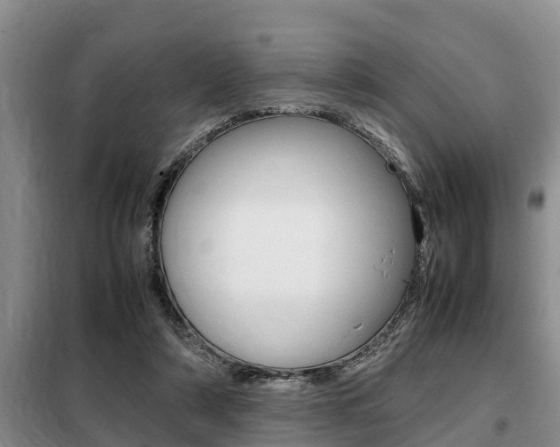 X0000099410306200805090734