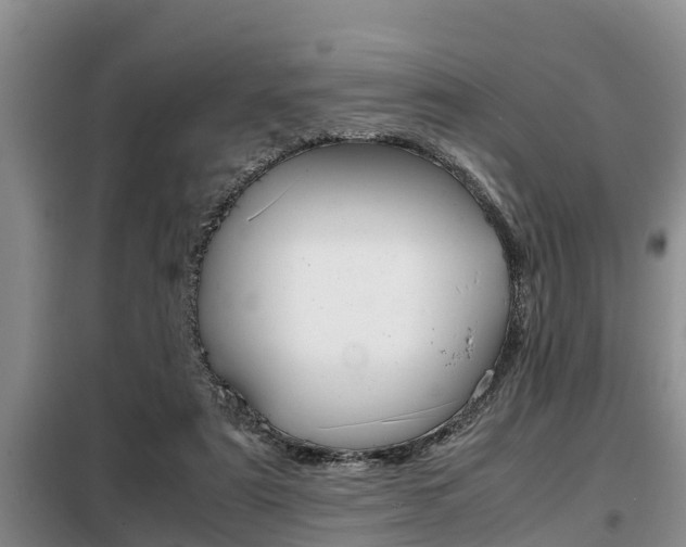 X0000099410307200805090734