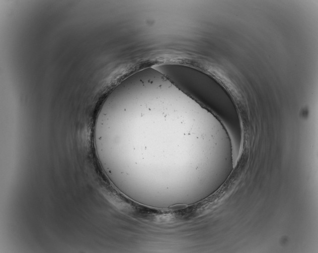X0000099410309200805090734