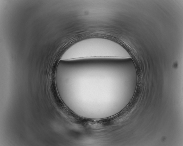 X0000099410311200805090734