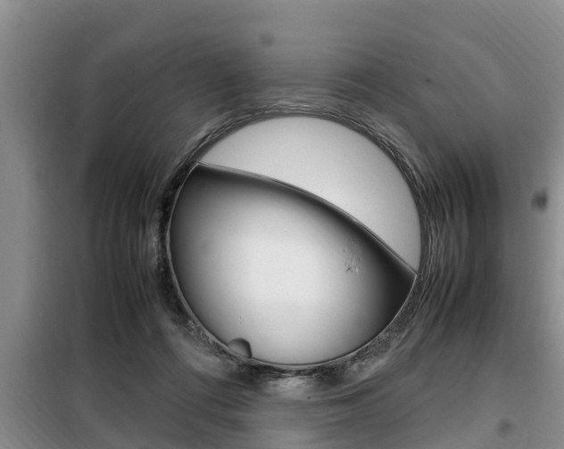 X0000099410312200805090734