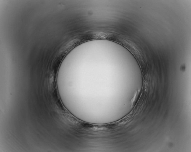 X0000099410314200805090733