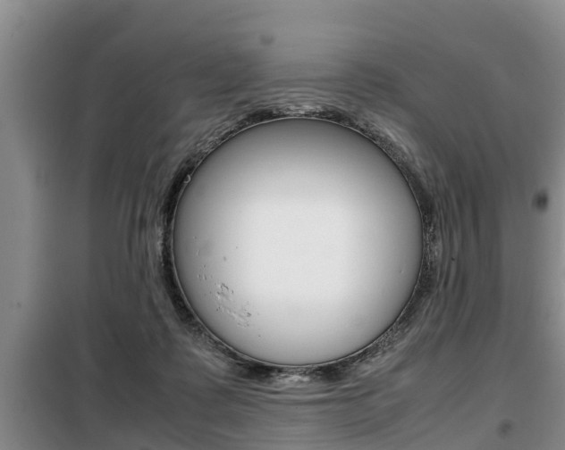 X0000099410315200805090733