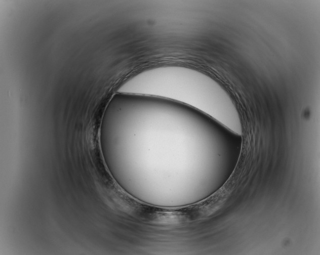 X0000099410316200805090733