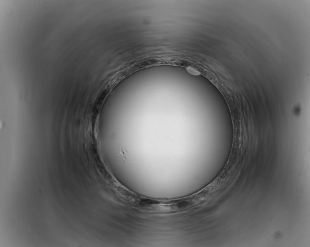 X0000099410320200805090733