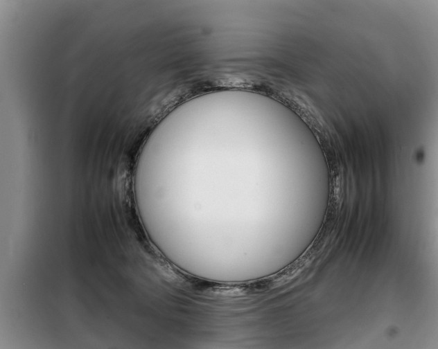 X0000099410322200805090733