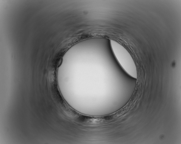 X0000099410323200805090733
