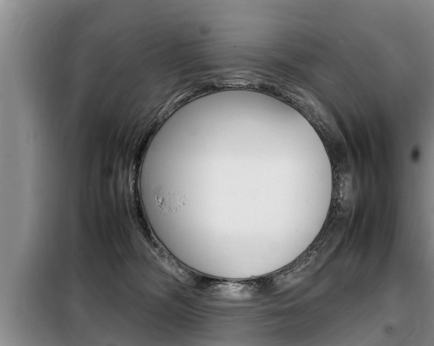 X0000099410326200805090733