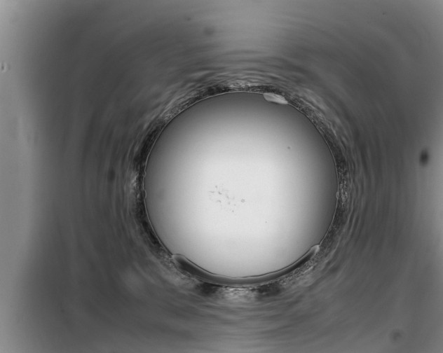 X0000099410327200805090733