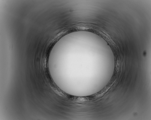 X0000099410330200805090733