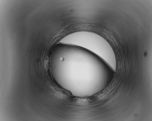 X0000099410332200805090733