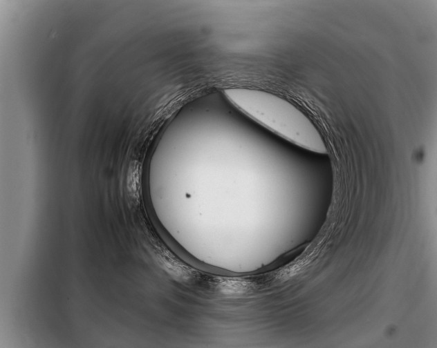 X0000099410336200805090733