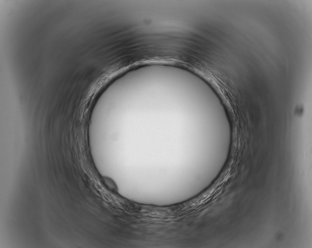 X0000099410337200805090732