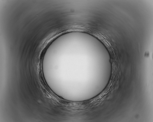 X0000099410338200805090732