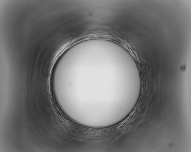 X0000099410340200805090732