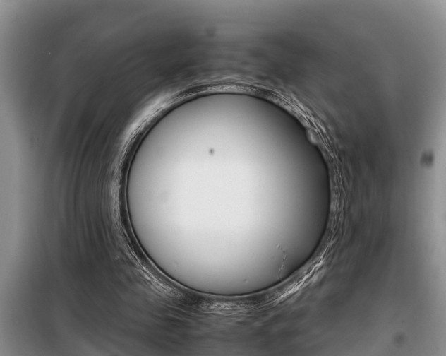 X0000099410341200805090732