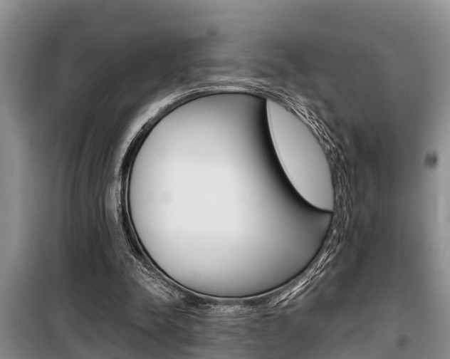 X0000099410342200805090733