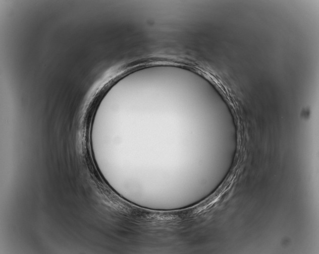 X0000099410343200805090733