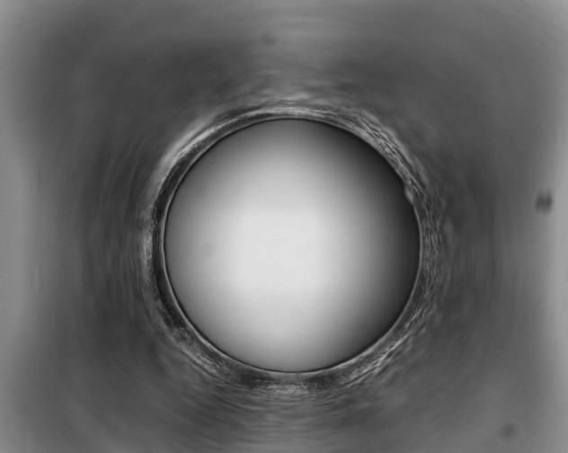 X0000099410344200805090733