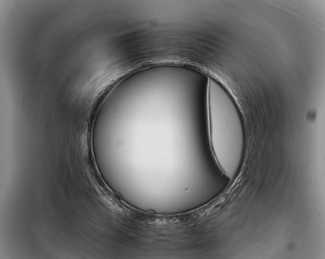 X0000099410345200805090733