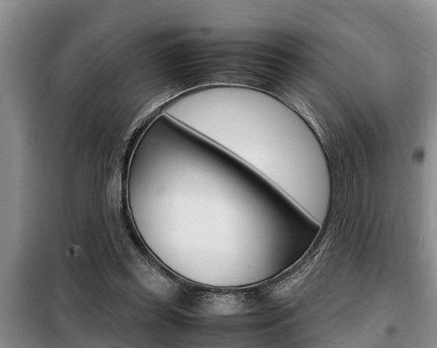 X0000099410349200805090733